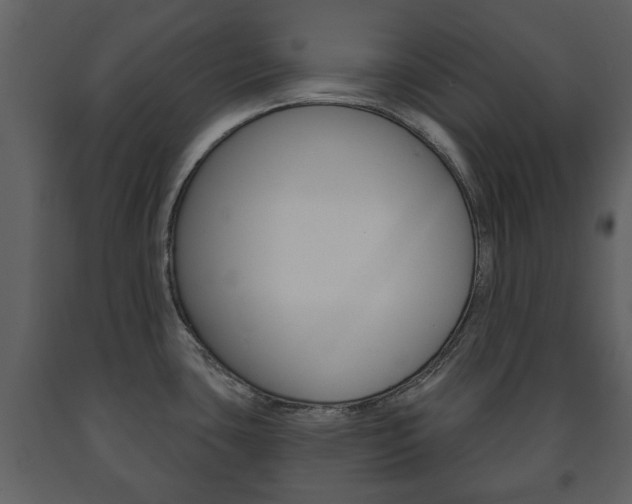 X0000091701435200708240923