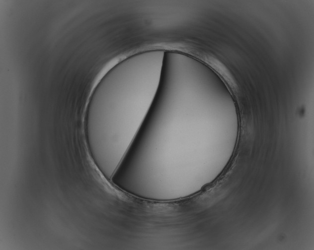 X0000091701436200708240923