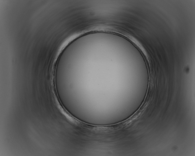 X0000091701437200708240923