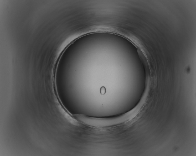 X0000091701438200708240923