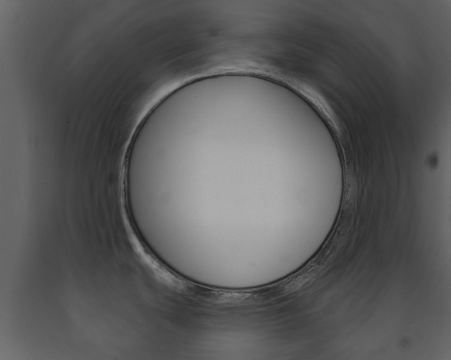 X0000091701439200708240923