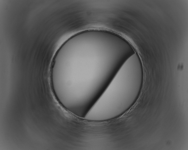 X0000091701440200708240923