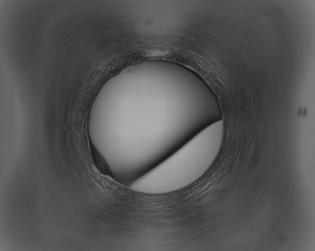 X0000091701441200708240922