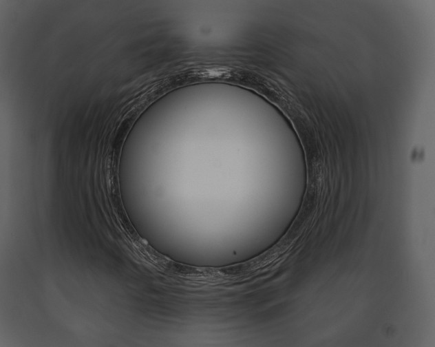 X0000091701442200708240922