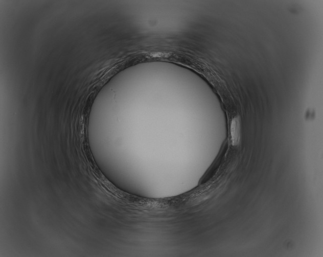 X0000091701443200708240922
