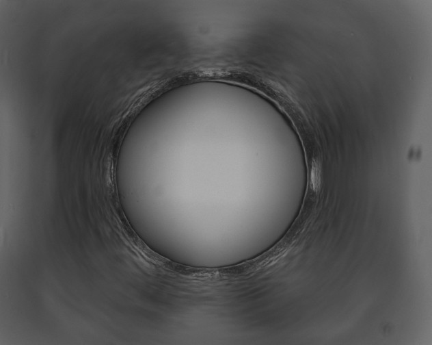 X0000091701444200708240922
