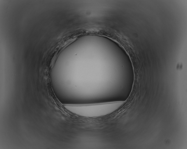 X0000091701445200708240922