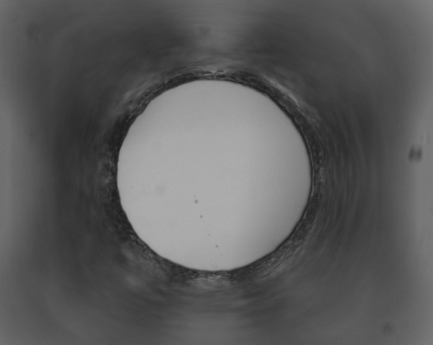 X0000091701447200708240922