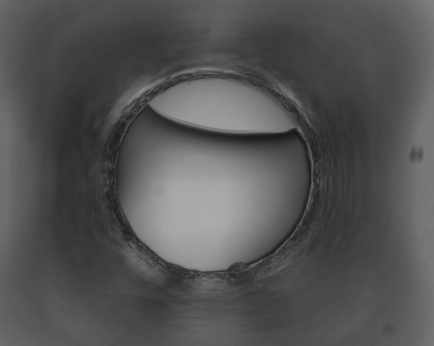 X0000091701448200708240922