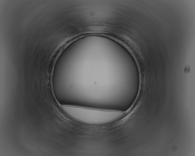 X0000091701449200708240922