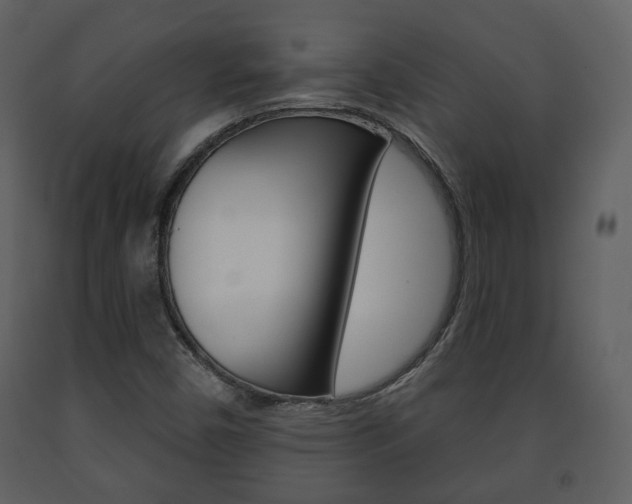 X0000091701450200708240922