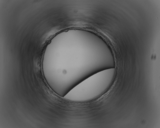 X0000091701451200708240922