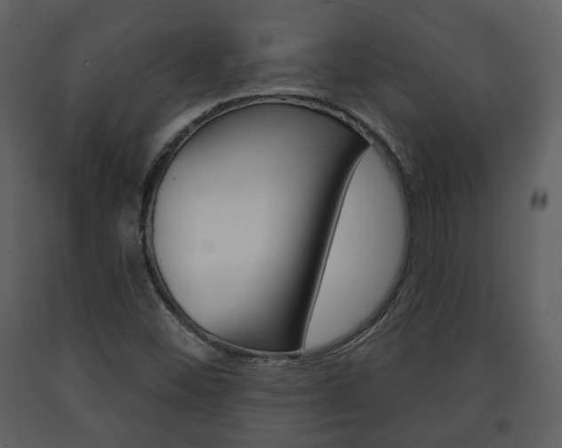 X0000091701452200708240922