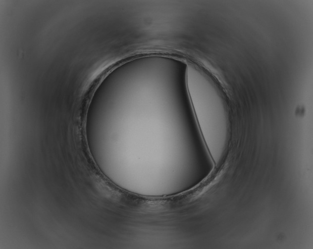 X0000091701453200708240922