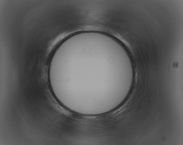 X0000091701454200708240922