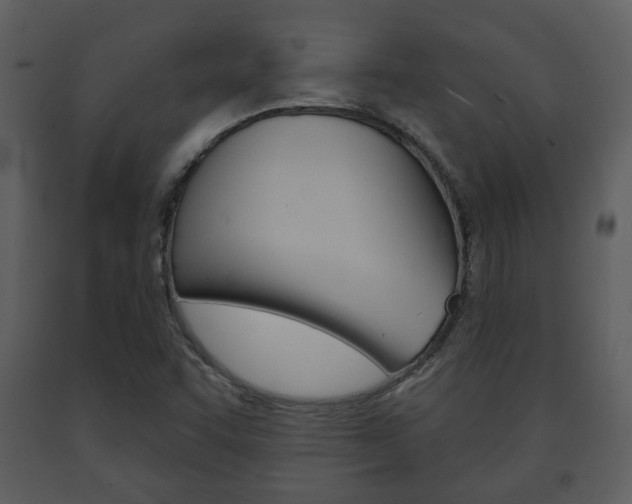 X0000091701455200708240922