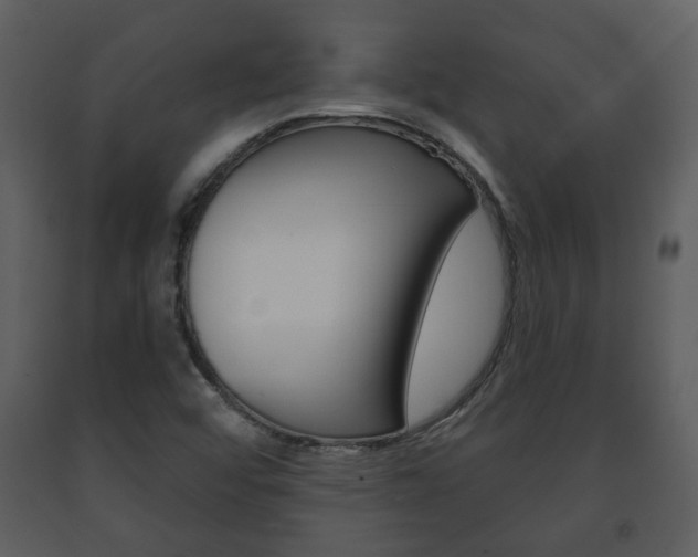 X0000091701456200708240922