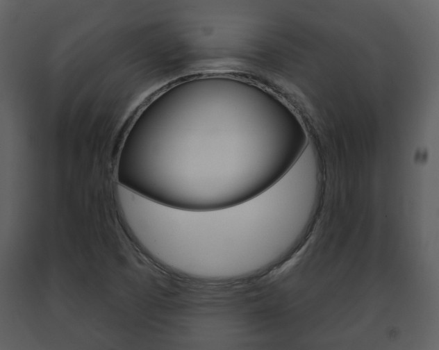 X0000091701457200708240922