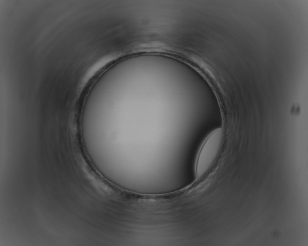 X0000091701458200708240922