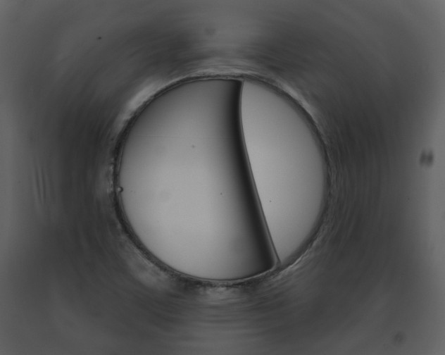X0000091701459200708240922
