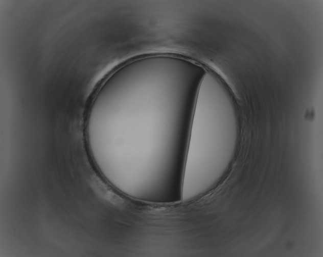 X0000091701460200708240922