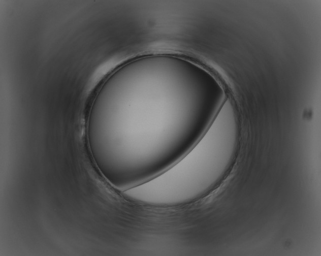 X0000091701461200708240922
