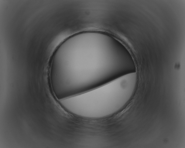 X0000091701463200708240922