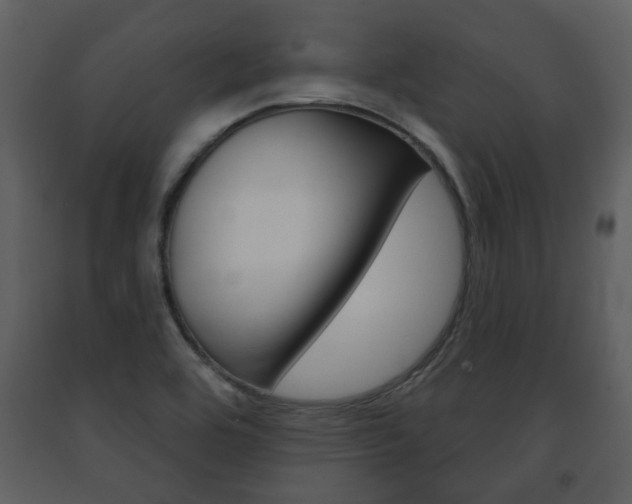 X0000091701464200708240922