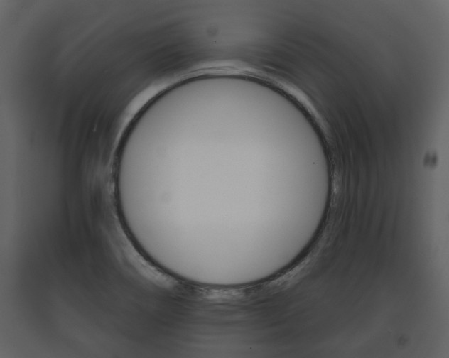 X0000091701466200708240922