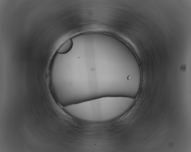 X0000091701467200708240922