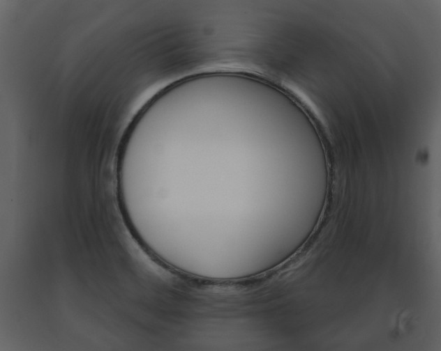 X0000091701468200708240922