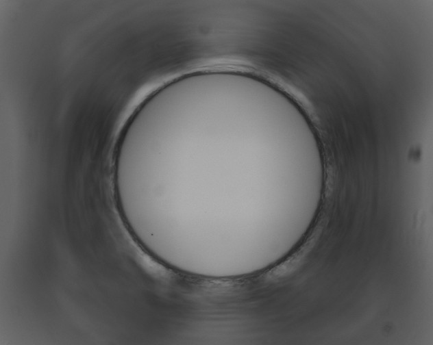 X0000091701470200708240922
