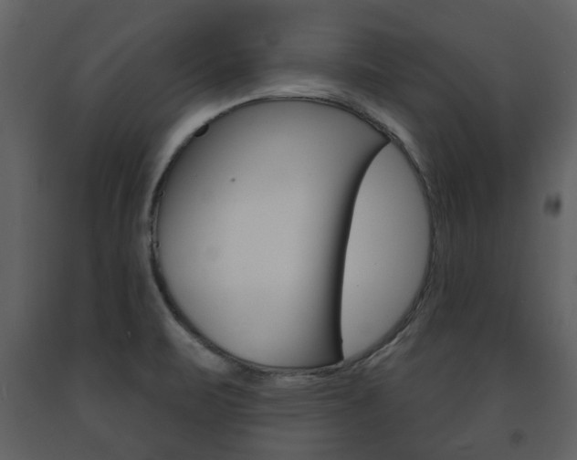 X0000091701471200708240922
