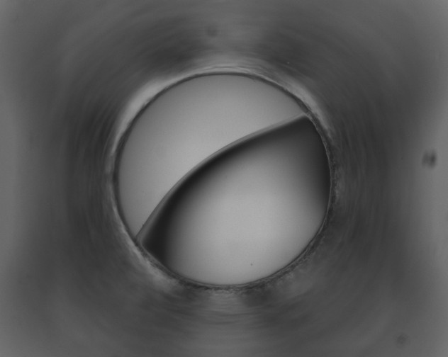 X0000091701472200708240922