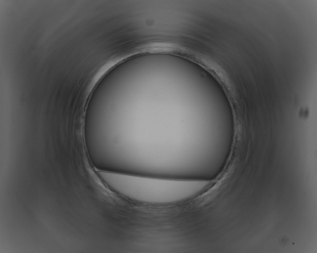 X0000091701473200708240922