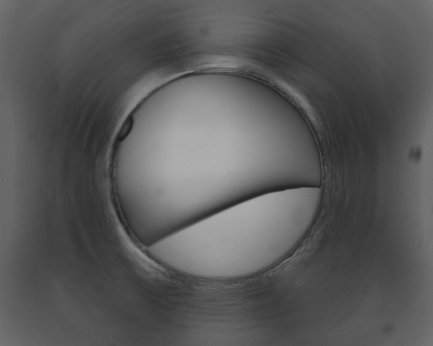 X0000091701475200708240922
