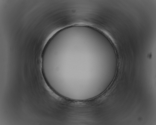 X0000091701476200708240922