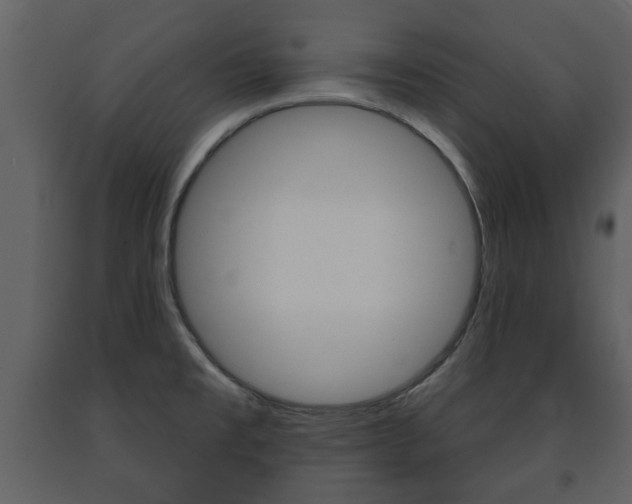 X0000091701477200708240922