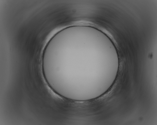 X0000091701478200708240922