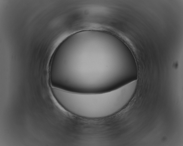 X0000091701479200708240922
