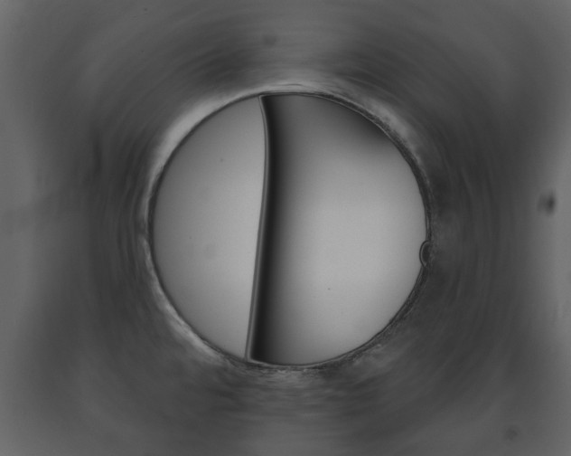 X0000091701480200708240922