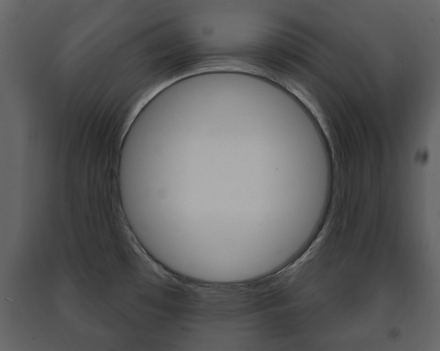 X0000091701481200708240922