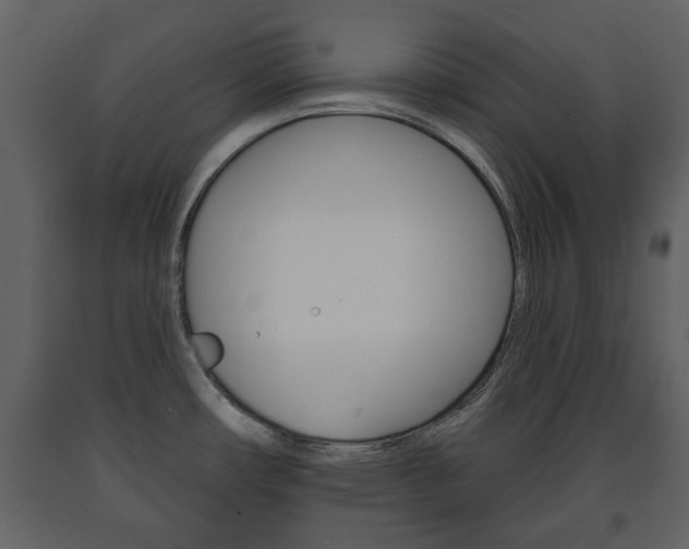X0000091701482200708240922