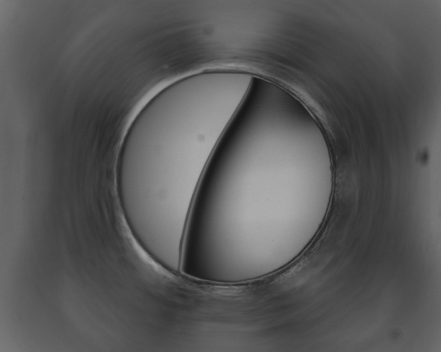 X0000091701484200708240921