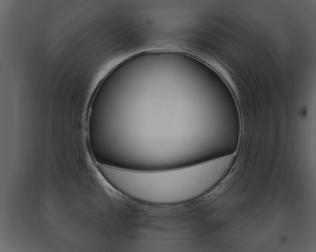 X0000091701485200708240921