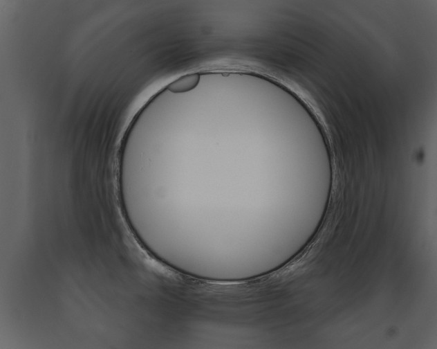 X0000091701486200708240921