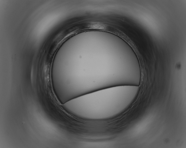 X0000091701487200708240921