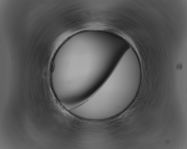 X0000091701488200708240921