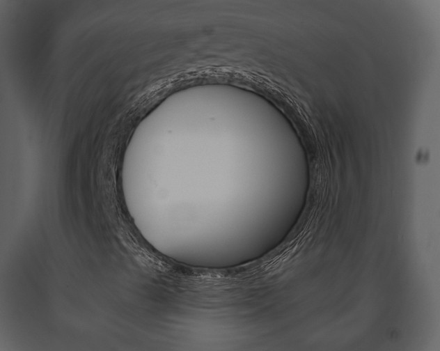 X0000091701489200708240921