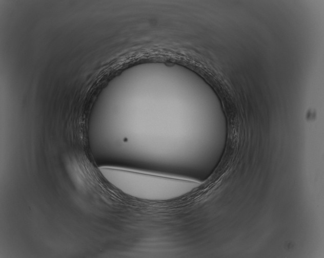 X0000091701490200708240921